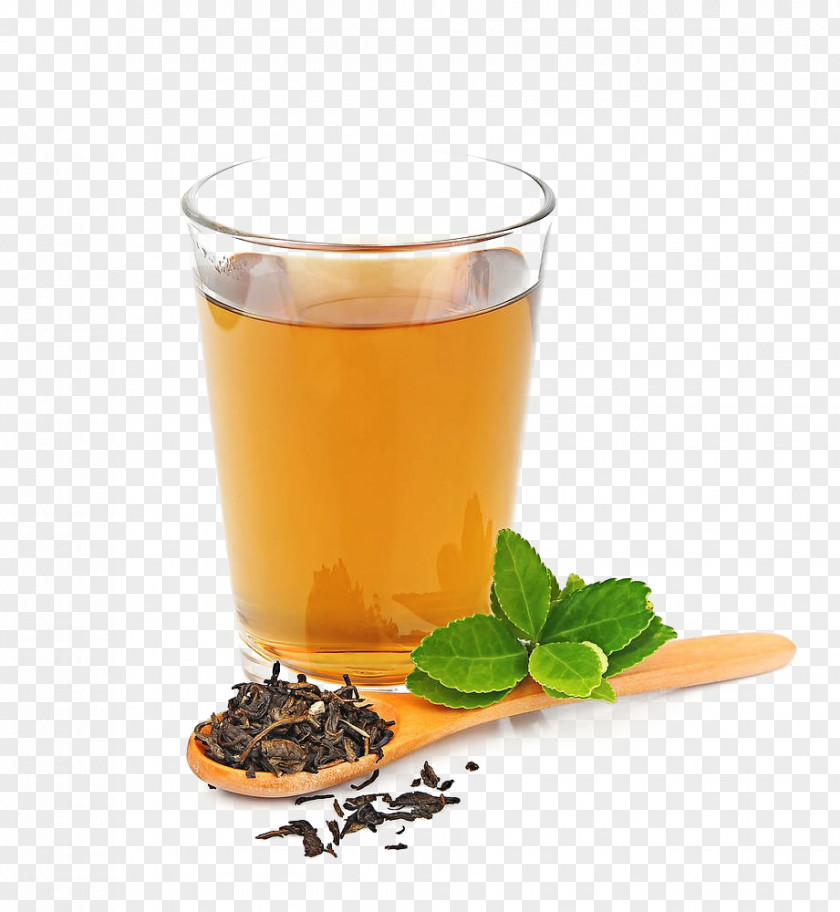 Tea Barley Earl Grey Mate Cocido Sweet PNG