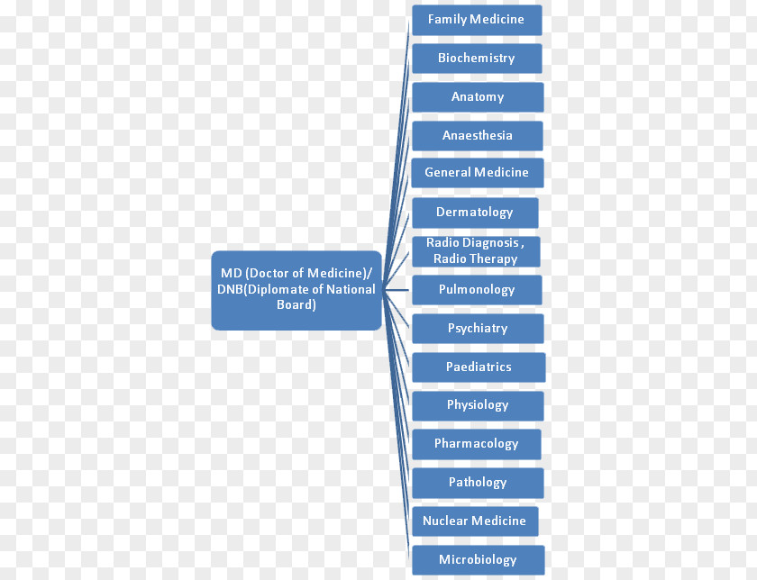 Bachelor Of Science Organization Test Diploma Course Finance PNG