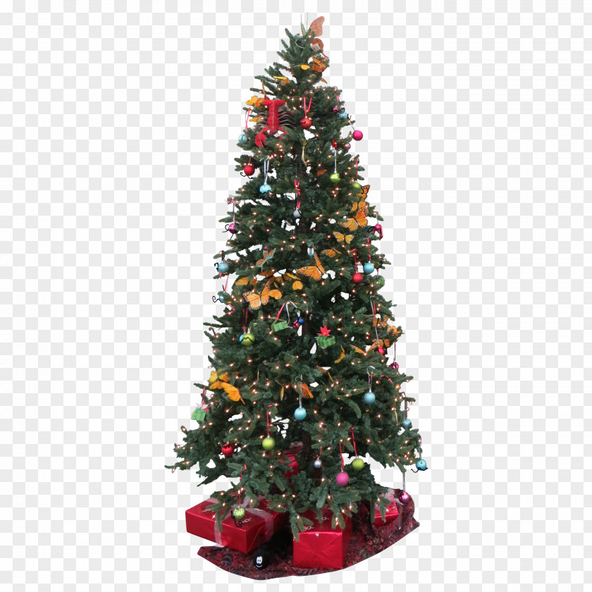 Christmas Tree Norway Spruce Lights PNG