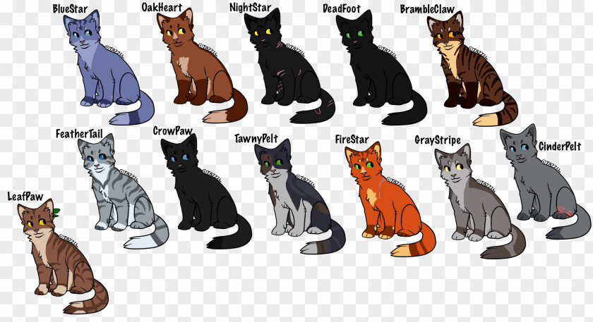 Details Of The Design Pattern Cat Midnight Warriors Firestar Brambleclaw PNG