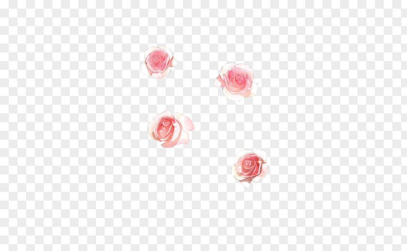 Garden Roses Odnoklassniki Centifolia Petal PNG