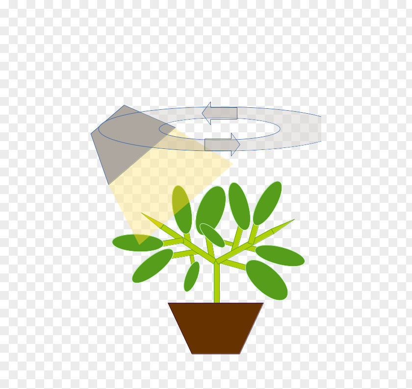 Leaf Flowerpot Clip Art PNG