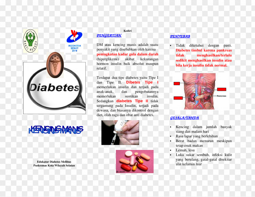 Leaflets Diabetes Mellitus Type 2 Insulin Hyperglycemia Bronchopneumonia PNG