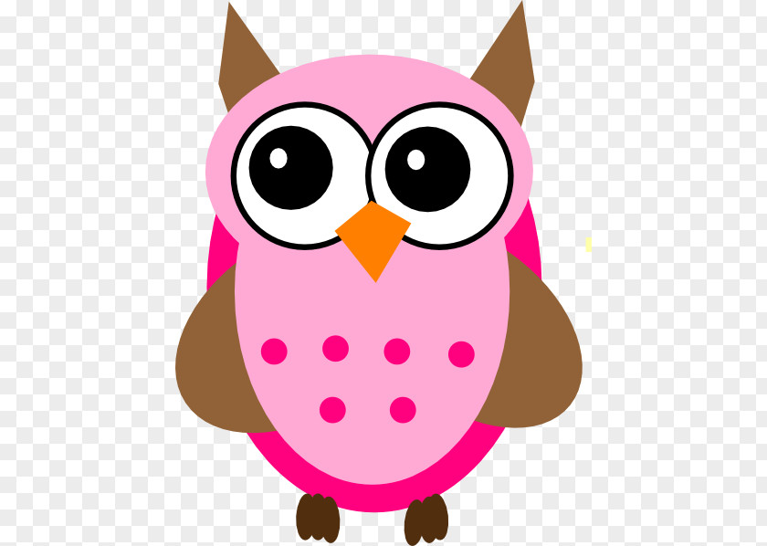 Owl Degree Baby Owls Clip Art PNG