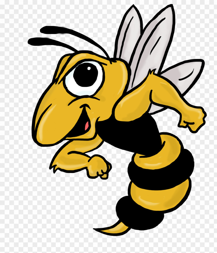 Animation Insect Bee Cartoon PNG
