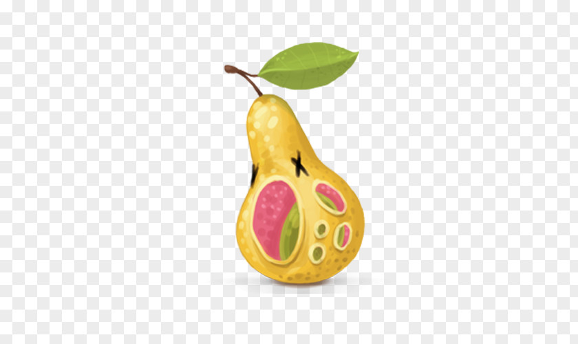 Lovely Pear Macintosh Apple Icon Image Format PNG