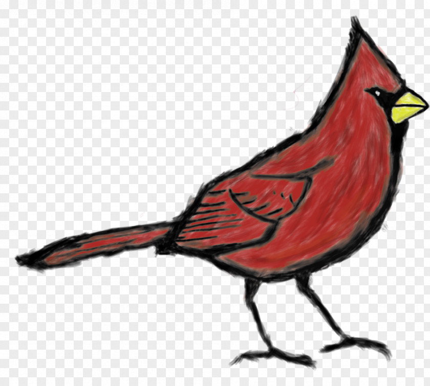 Red Cardinal 1998 St. Louis Cardinals Season Arizona Memphis Redbirds 2009 Major League Baseball PNG
