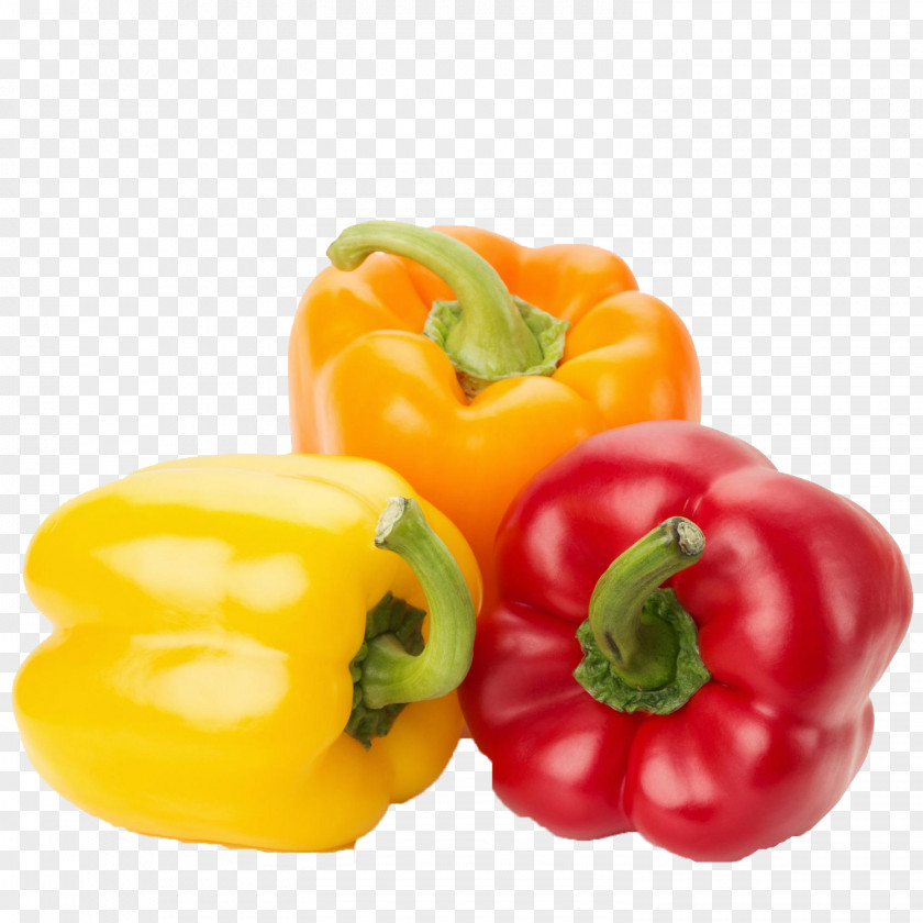 Vegetable Bell Pepper Chili Vegetarian Cuisine Food PNG