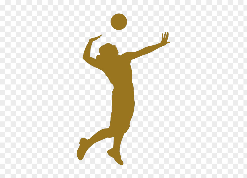 Volei Volleyball Sport Silhouette PNG
