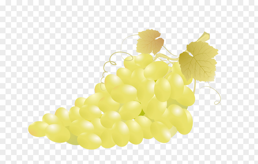 A Bunch Of Grapes Common Grape Vine Fruit Clip Art PNG