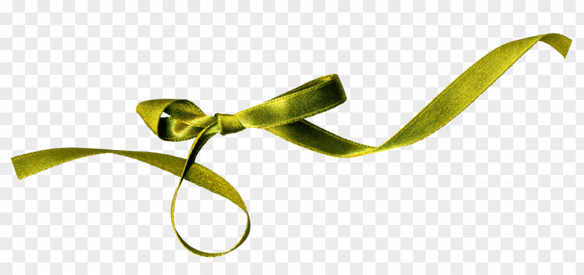 Bow Ribbon Silk Clip Art PNG