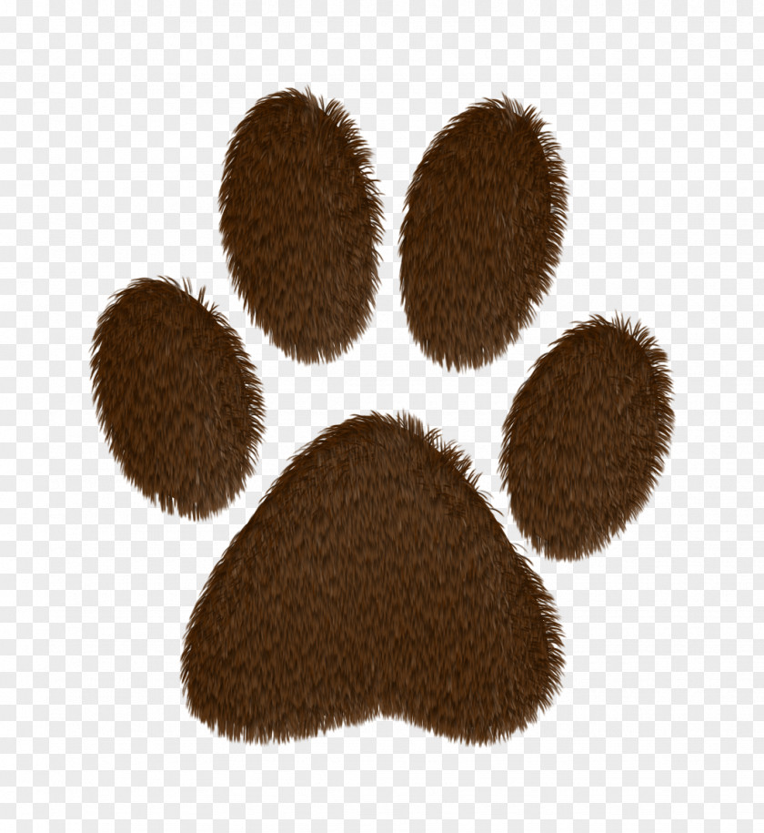 Dog Birman Pet Paw Tail PNG