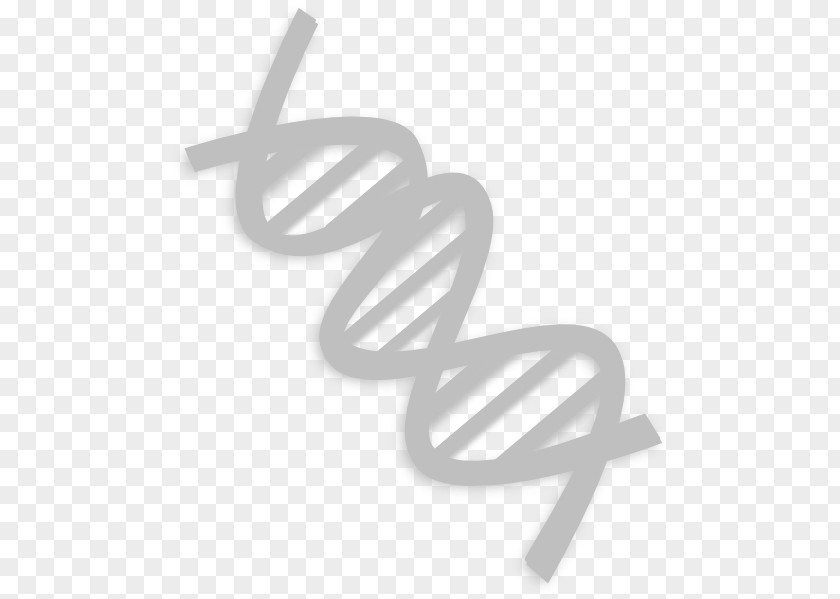 Double Helix Clip Art PNG