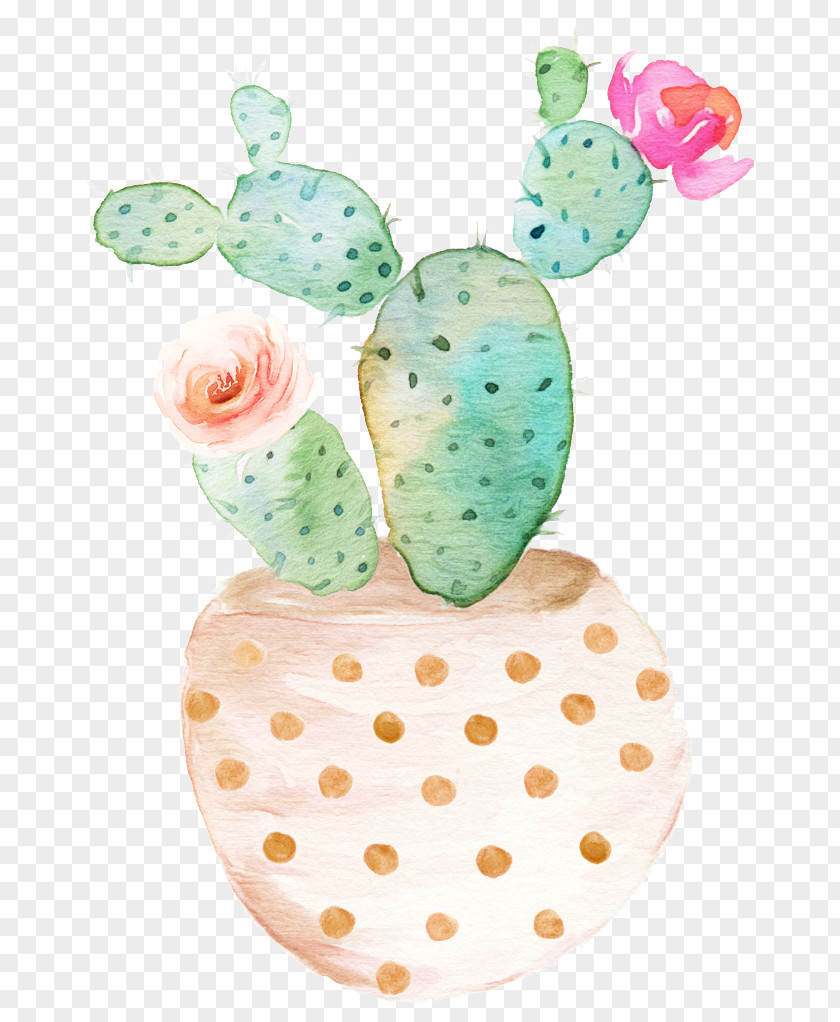 Plant Prickly Pear Cactus Cartoon PNG