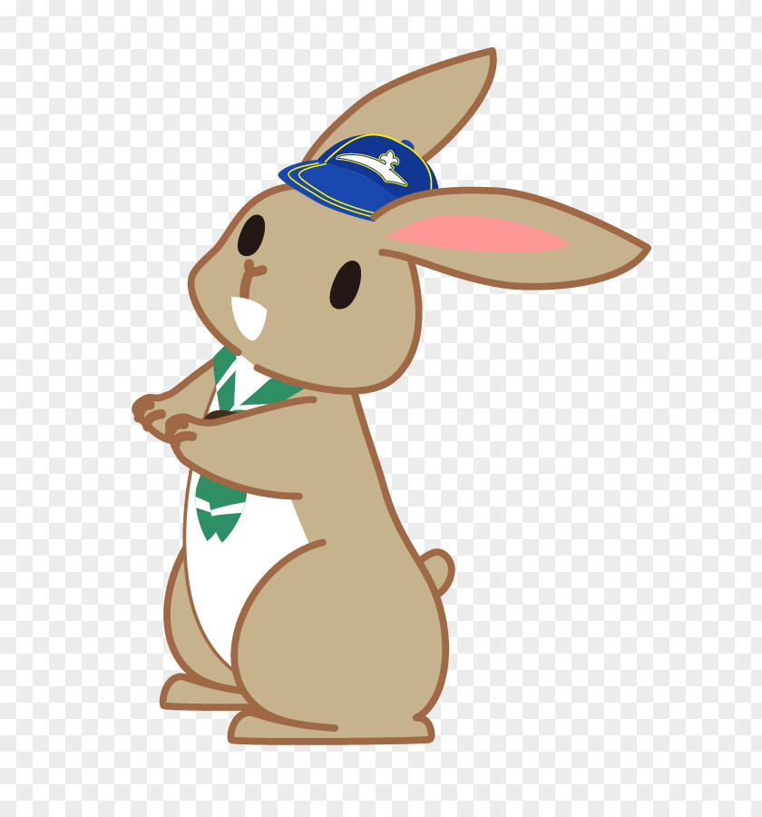 Rabbit Domestic Easter Bunny Hare Macropodidae PNG