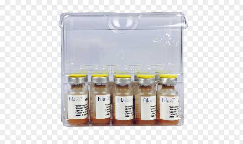 Rabbit Haemorrhagic Disease European Vaccination Vaccine PNG