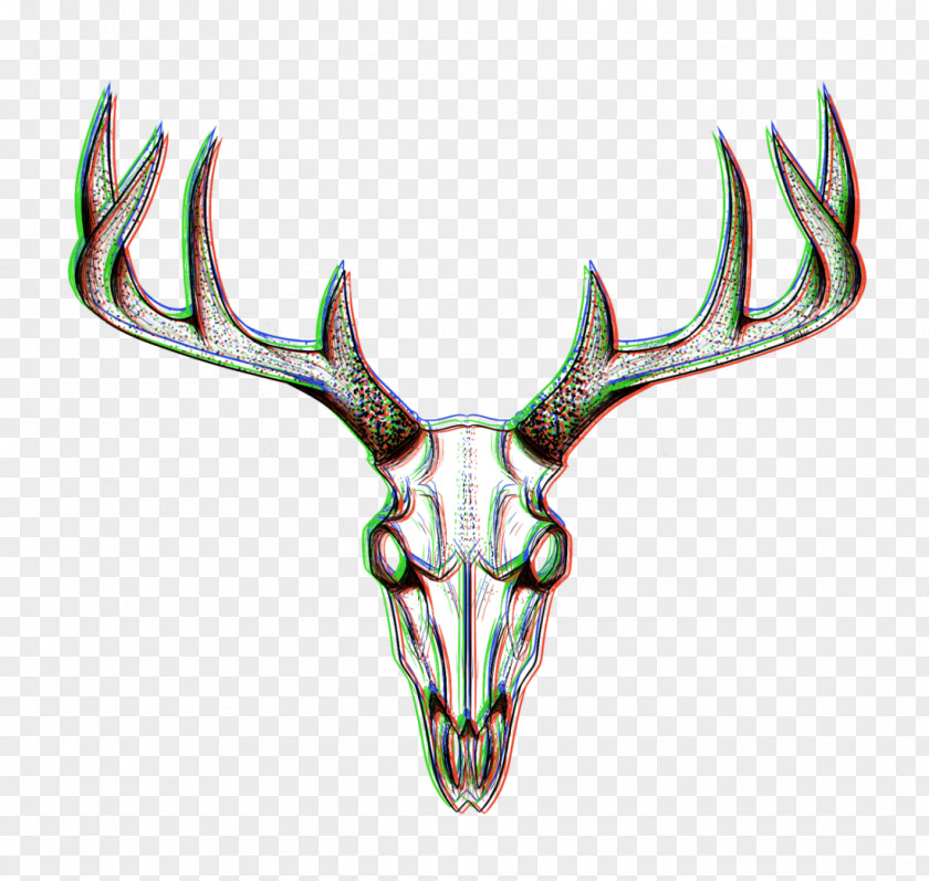 Reindeer Elk Antler Wildlife PNG