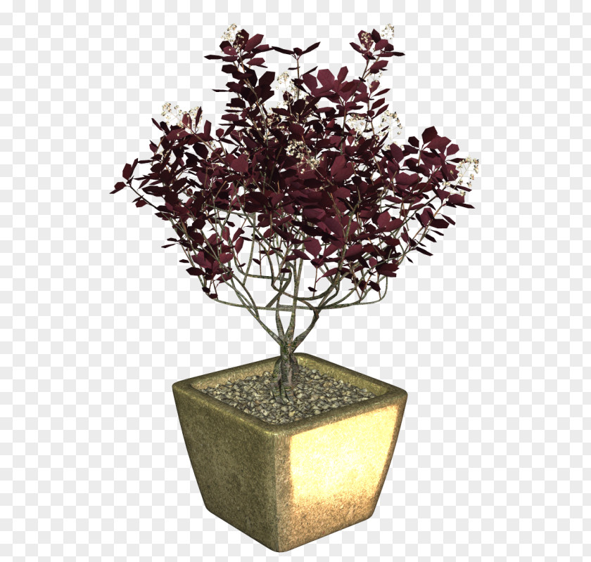 Bonsai Flowerpot Branching PNG