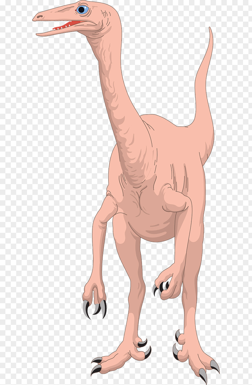 Dinosaur Reptile Stegosaurus Spinosaurus PNG