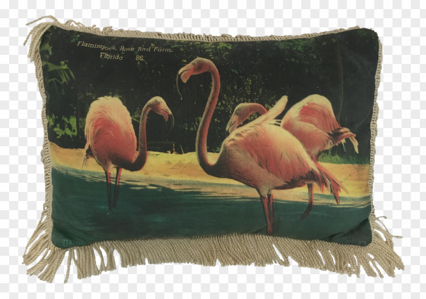 Flamingo Printing Throw Pillows Cushion PNG