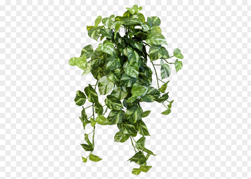 Green Leaves Potted Buckle Png Amazon.com JMC Floral Devil's Ivy Spring Greens Flowerpot PNG