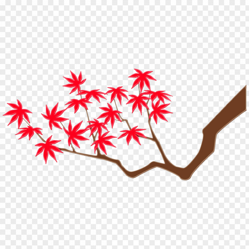 Maple Branch Red Leaf Tree Plant PNG