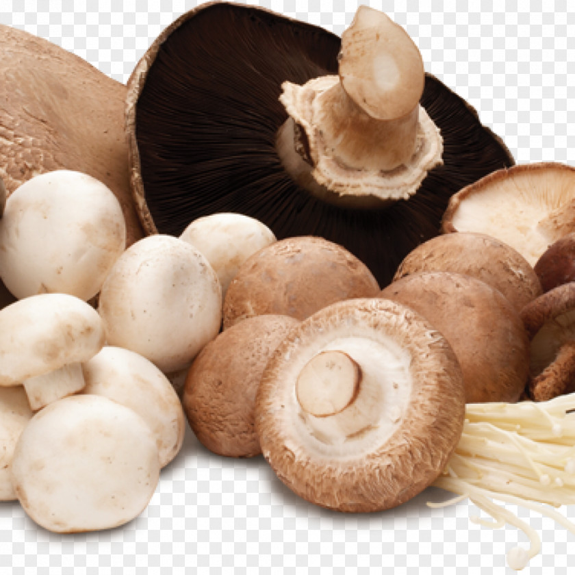 Mushrooms Common Mushroom Edible Food Vegetable PNG