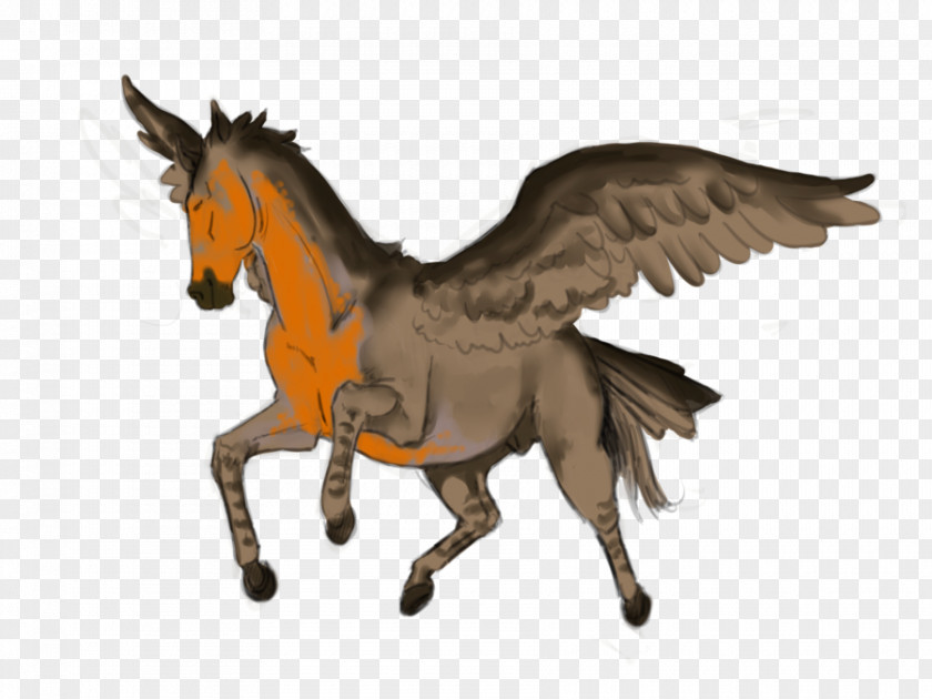 Mustang Stallion Pony Rein Pack Animal PNG