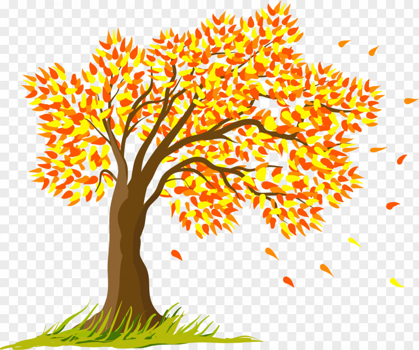 The Autumn Outing Tree Season Clip Art PNG