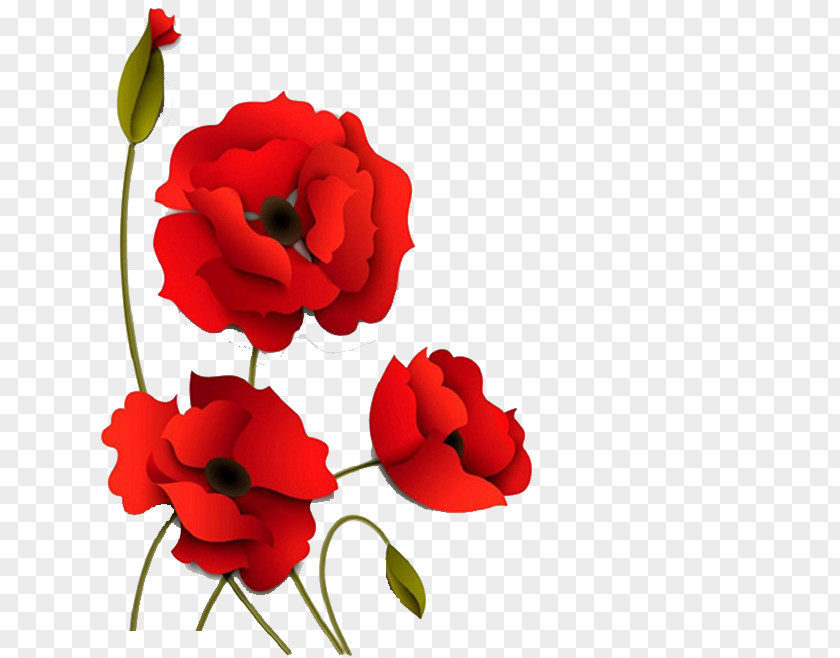 Three-dimensional Red Flowers Poppy Paper PNG