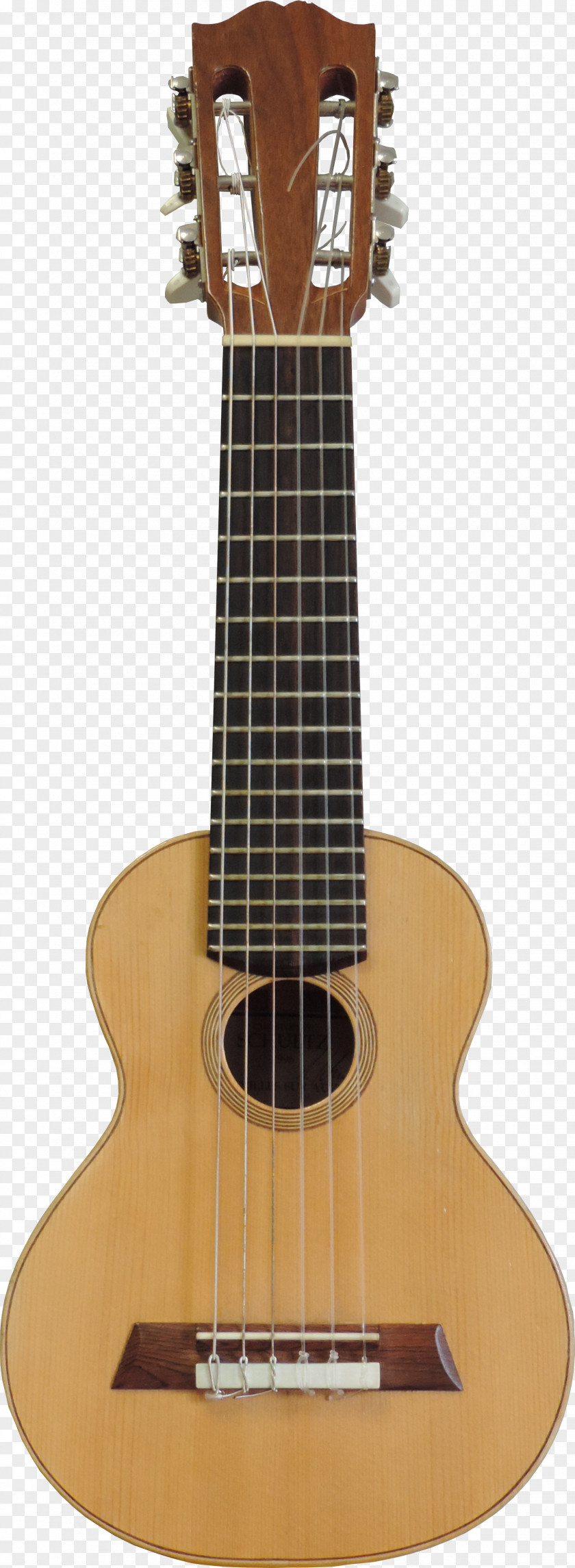 Acoustic Guitar Parlor Classical Dreadnought PNG