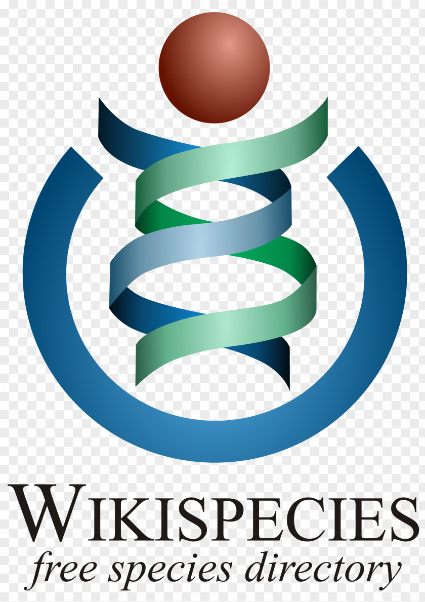 Wikimedia Foundation Wikipedia Wikispecies Project PNG
