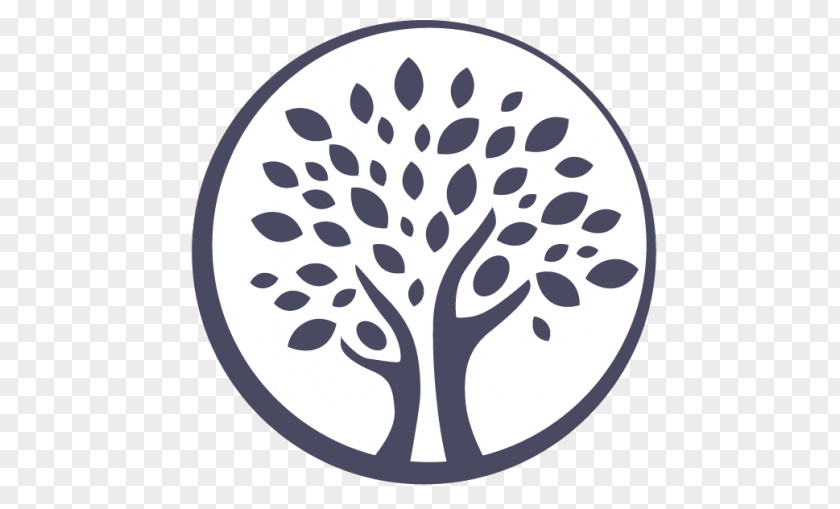 Branch Plant Circle Leaf PNG