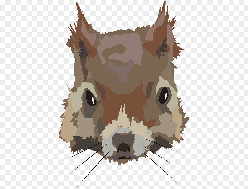 Dog Squirrel Felidae Chipmunk Rodent PNG