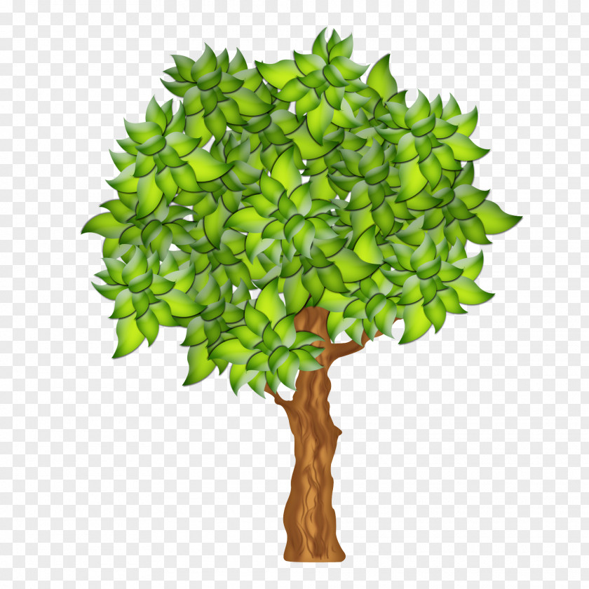 Jade Flower Branch Green Plant Tree Leaf Woody PNG