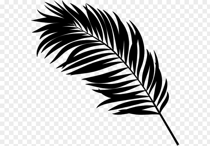 Palm Trees Retreat Recreation Massage Clip Art PNG