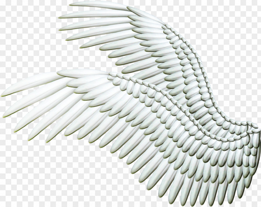 Wing Chicken Clip Art PNG