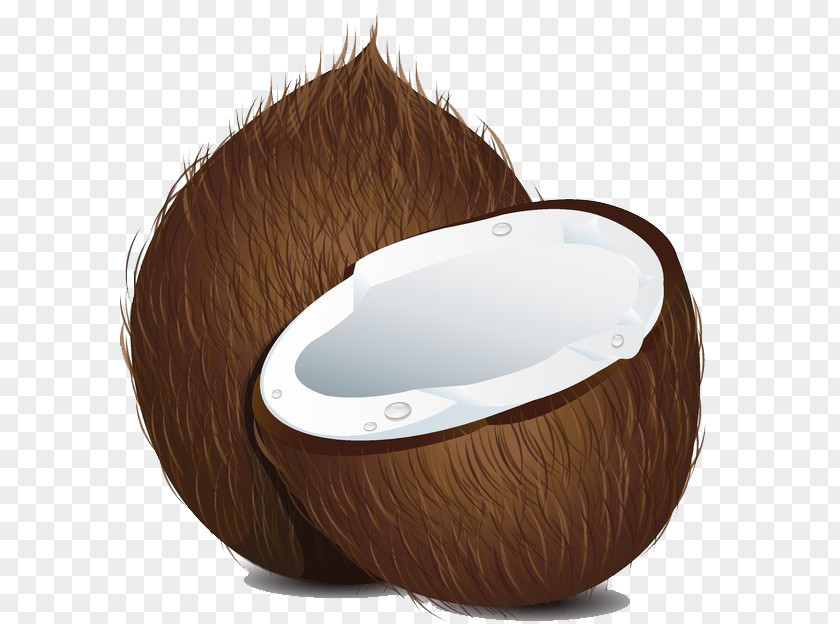 A Coconut Royalty-free Clip Art PNG