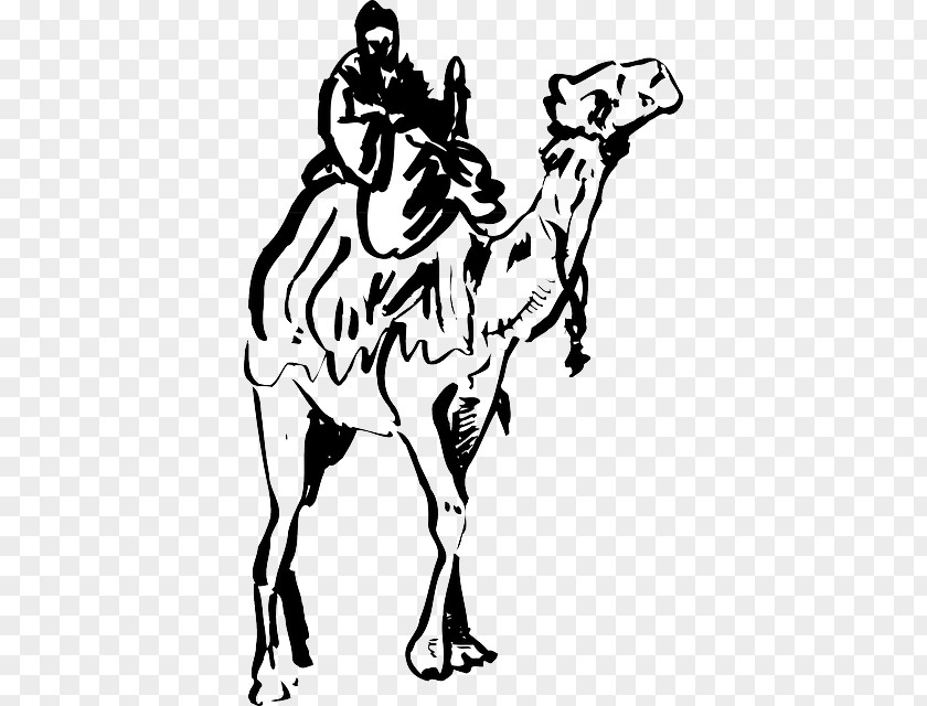 Ancient Dog Breeds Dromedary Drawing Clip Art PNG