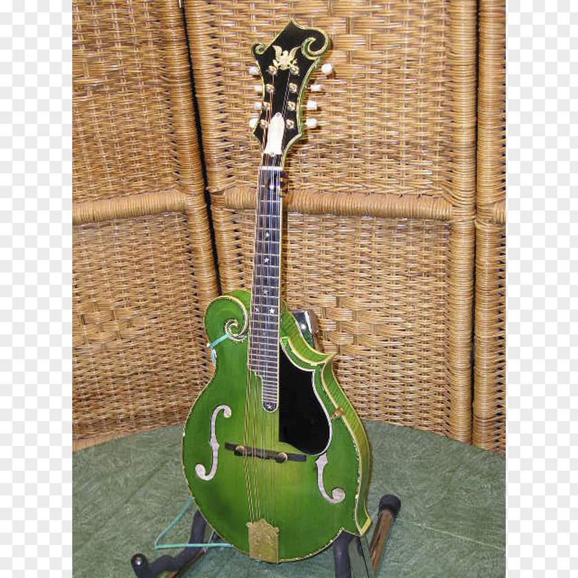 Bass Guitar Acoustic-electric Acoustic Mandolin PNG