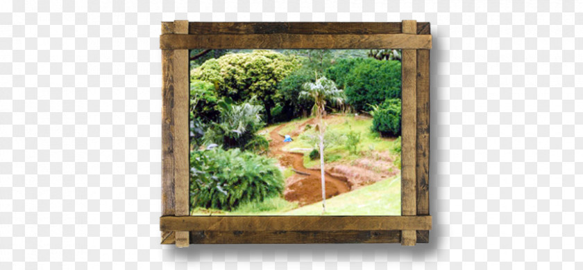 Botanical Leaves Colchester Gardening Wood Picture Frames /m/083vt PNG