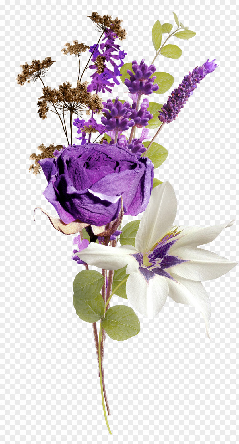 Bouquet Lavender Web Browser Clip Art PNG