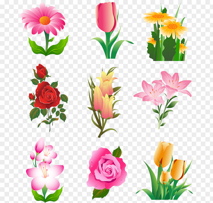 Cilpart Flower Euclidean Vector Tulip Clip Art PNG