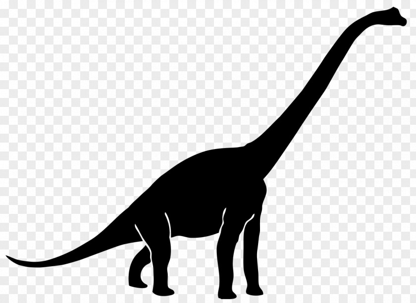 Dinosaurs Diplodocus Brachiosaurus Tyrannosaurus Brontosaurus Ankylosaurus PNG