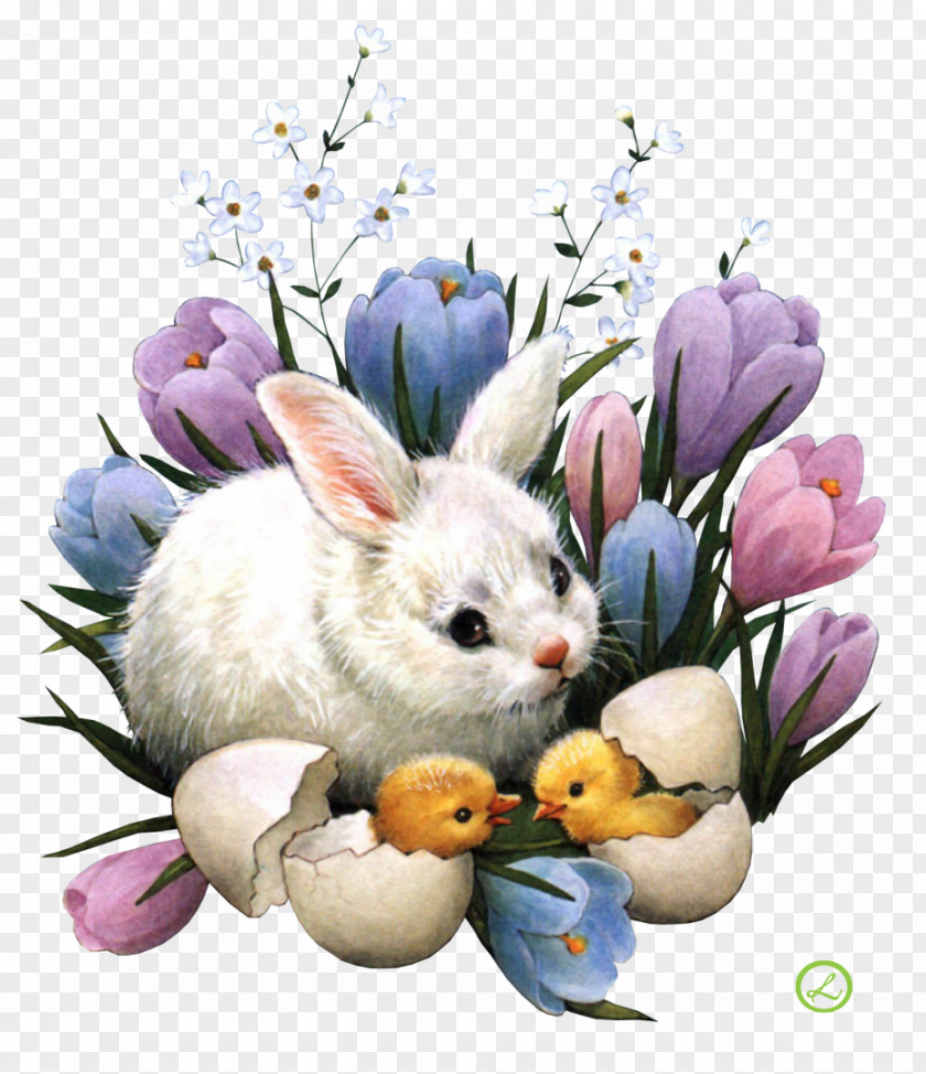 Easter Bunny Desktop Wallpaper Egg Hunt PNG