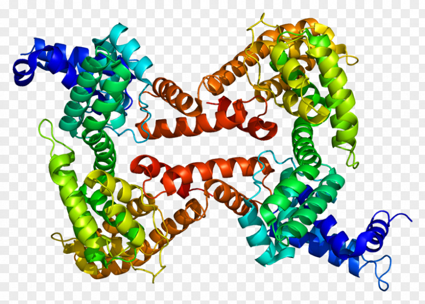 Gamma Globulin Vitamin D-binding Protein GcMAF PNG