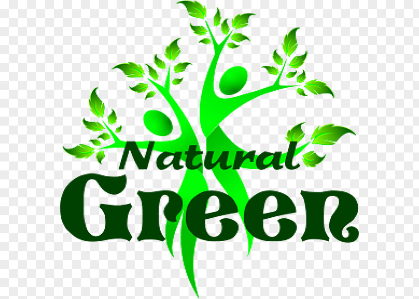 Green And Natural Kombucha Kefir Property Management Planning PNG