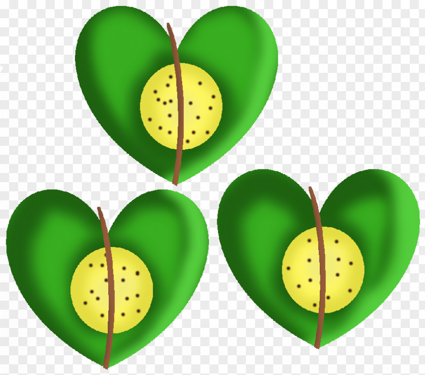 GREEN APPLE Leaf Organism Fruit Heart PNG