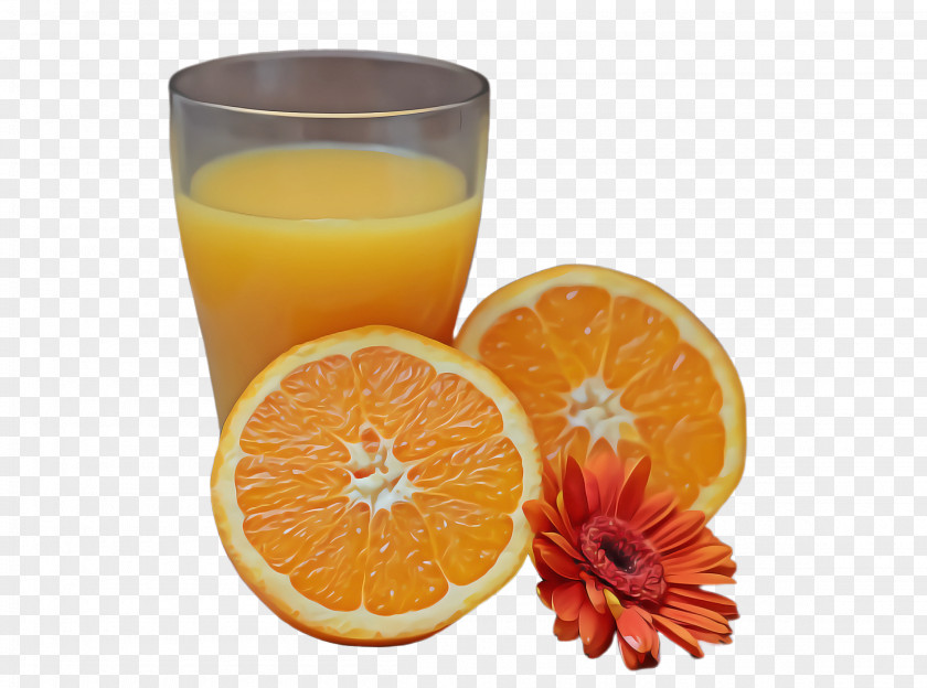 Ingredient Orange Soft Drink PNG