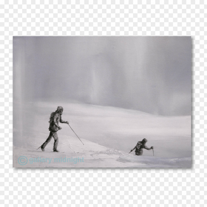 Johny Deep Ski Poles Glacial Landform Bindings Mountaineering PNG